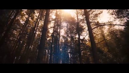 Avengers Doomsday Trailer - Thor