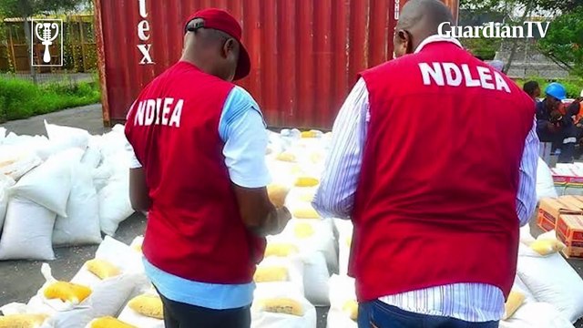 No drug test, no job: Federal Government makes testing mandatory