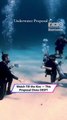 He Proposed Underwater — This Might Be the Boldest Proposal Ever|| Heartsome 💖