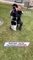 Puppy Thinks He’s Gone Forever… Then This Happens|| Heartsome 💖