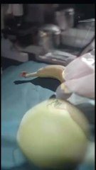 STITCHING LIFE BACK TO TRUTH - FULL MOVIES ENGLISH SUB