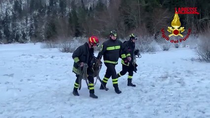 Udine, soccorso cervo intrappolato nel lago di Cave ghiacciato