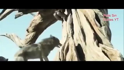 COMPLETA EN ESPAÑOL LATINO La Tribu Mortal HD 2022 peliculas completas de acción, guerra, aventura