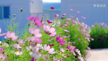 🇨🇳(BL)EP1-6 AWAKENING THE STEPPE  FULL EPISODES ENG SUB 1-6