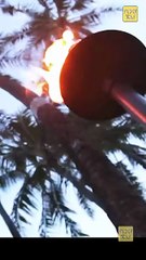 Seduction Cove Isode