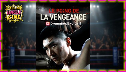 Le Poing de la Vengeance (Doublé) - Sous-titres Français
