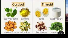 hormone-supporting foods