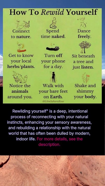 how to rewild yourself