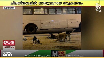കുവൈത്തിലെ വിവിധ പ്രദേശങ്ങളിൽ തെരുവ് നായ്ക്കളുടെ എണ്ണത്തിൽ ആശങ്കാജനകമായ വർധന