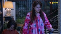 Dil Dhoondta Hai Phir Wohi Episode 27   Zara Noor Abbas & Zahid Ahmed   Express TV
