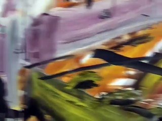 VTV Beginnings (r2): Armen Eloyan: Comic-related Paintings / Bob van Orsouw (2006)