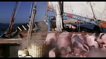 Pied-Plat sur le Nil (1980) - Bande annonce