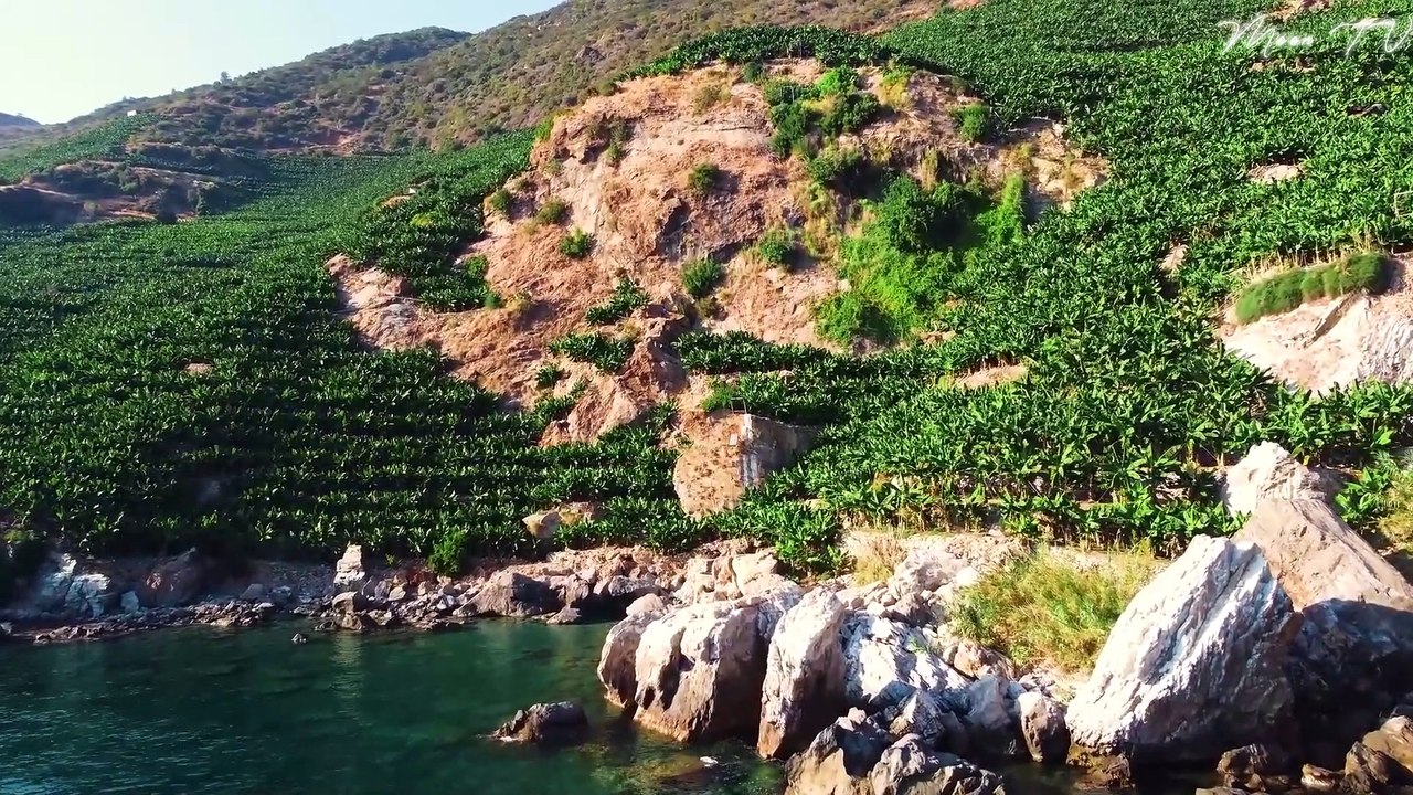 Mindful Yoga Music For Mindful Practice