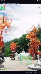 Defying Fate With My Heart (2025) - FULL [Eng Sub]