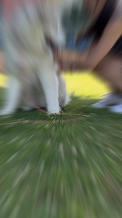 Merci et à jamais 2025, à nous 2026 maintenant ! Tu as intérêt à être une belle année je te le dis 😎✨