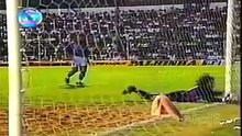 Roberto Carlos best goals