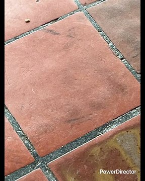 FELIZ AÑO MENOS A MX Y MTY ESOS PUT0$ ENANOS MUGROSOS UNOS GORDOS BOFOS OTROS DELGADOS ÑANGOS LAS VIEJAS MUJERES INDIA$ PATAS RAJADAS IGUAL QUE LOS HOMBRES PINCHES HIJOS DE TIZOC Y LA MALINCHE JA NO SIRVEN PA NADA SOLO PA DAR VERGÜENZA ME DAN PENA CABRO$&