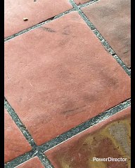 FELIZ AÑO MENOS A MX Y MTY ESOS PUT0$ ENANOS MUGROSOS UNOS GORDOS BOFOS OTROS DELGADOS ÑANGOS LAS VIEJAS MUJERES INDIA$ PATAS RAJADAS IGUAL QUE LOS HOMBRES PINCHES HIJOS DE TIZOC Y LA MALINCHE JA NO SIRVEN PA NADA SOLO PA DAR VERGÜENZA ME DAN PENA CABRO$&