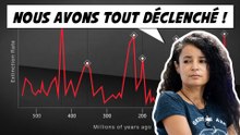 La sixième extinction a commencé et c’est de notre faute !