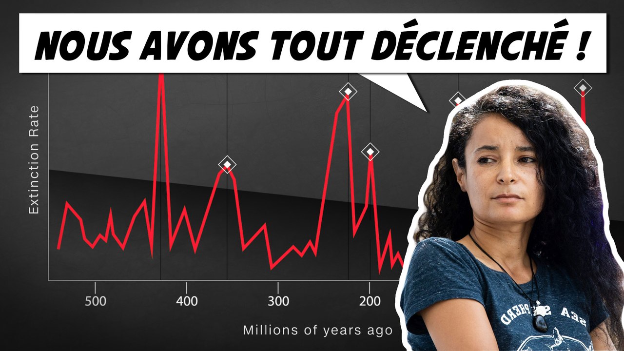 La sixième extinction a commencé et c’est de notre faute !