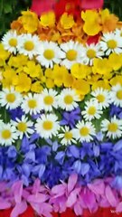 "Wait till you see this baby dress made entirely of flowers! 🌸👶"