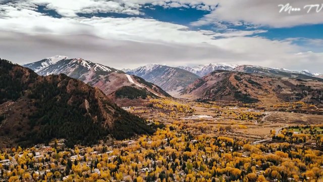 Harmony Music For Balanced Living