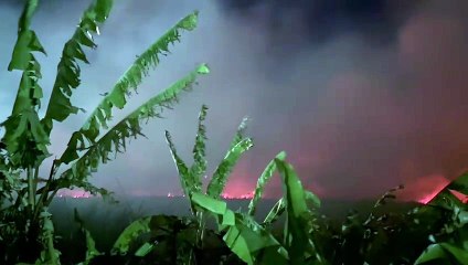 Em chamas! Incêndio atinge área de vegetação em Jauá após fogos de Ano Novo