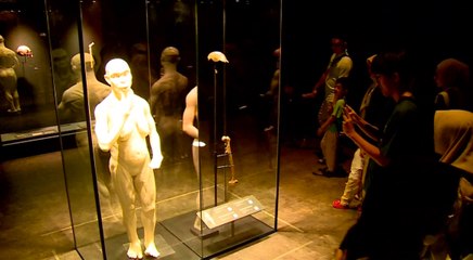 Fosil Manusia Purba Pulang ke Indonesia Setelah 130 Tahun di Belanda