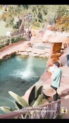 Capturando Su Corazón con Mis Gemelos (Doblado) Completo En Español