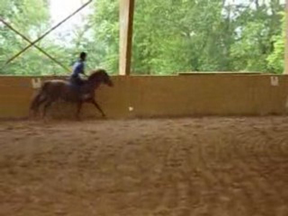 Au galop