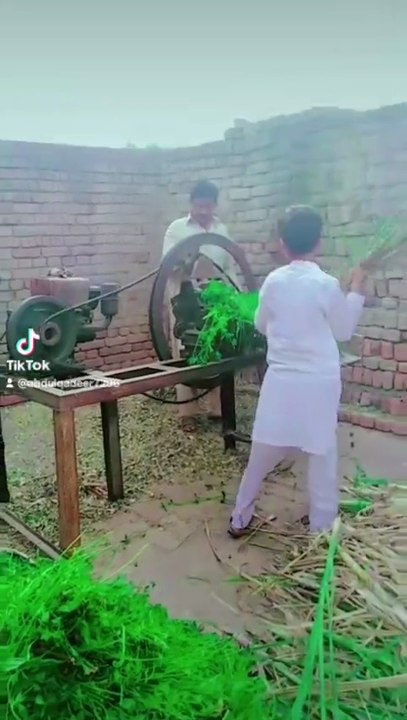 Punjabi mohal