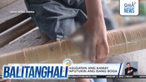 6-anyos na lalaki, nasugatan ang kamay matapos subukang paputukin ang isang boga | Balitanghali