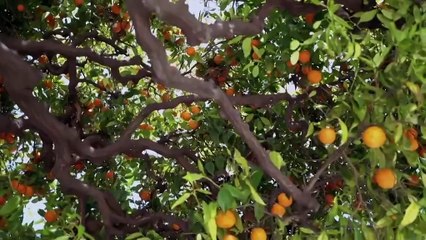 Sandi's Great Riviera Rail Trip S1 E3