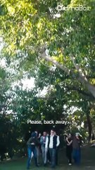 A Mother's Triumph- I Have Three Powerful Sons 2