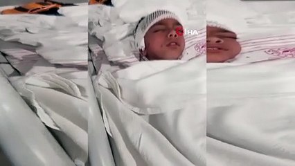 Sokak köpekleri okuldan eve dönen çocuğa kabusu yaşattı