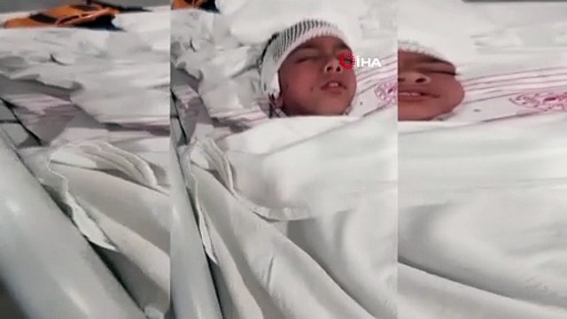 Sokak köpekleri okuldan eve dönen çocuğa kabusu yaşattı