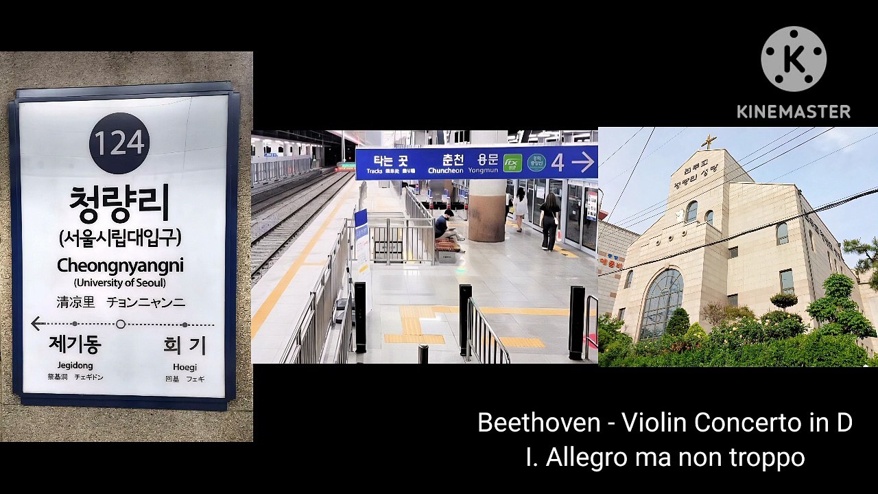 Beethoven: Violin Concerto in D, 1st mvt (Cover)