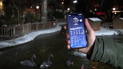 Başkentin simgelerinden Kuğulu Park'taki havuzun yüzeyi buz tuttu