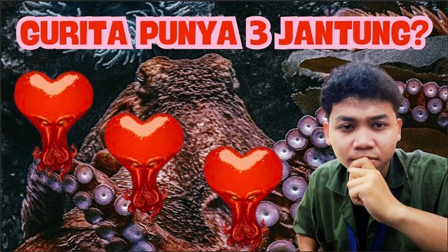 Mengapa Gurita Punya Tiga Jantung dan Darah Berwarna Biru? Ini Penjelasan Ilmiahnya-<i>Serius Ini Hewan?</i>