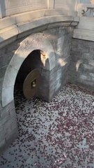 Cloud Temple Bell Tradition in Beijing: Hitting the Wish Bell for Good Fortune