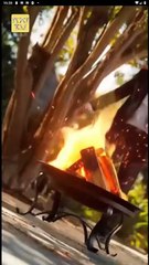 REBORN FOR THE LYCAN KING. - Full Movies English Sub