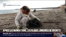 Pyrénées-Orientales: après les inondations, les plages jonchées de déchets
