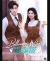 Billionaire’s Wife Nah, I’m After a Stable Job  - Full Movies English Sub