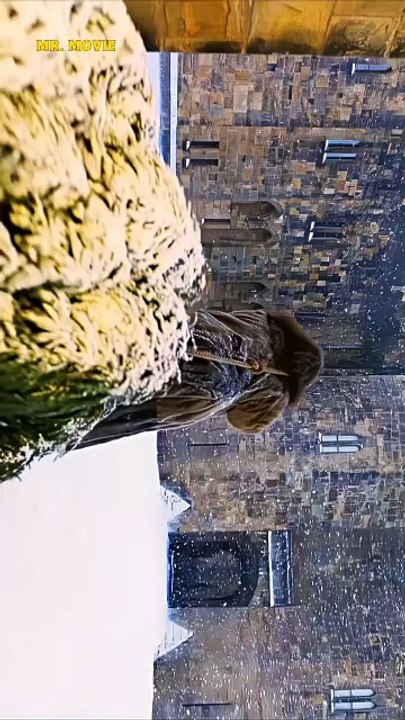 Harry Potter Christmas - Hollywood’s ICONIC Scenes 🔥🎥 You CAN’T Unsee!