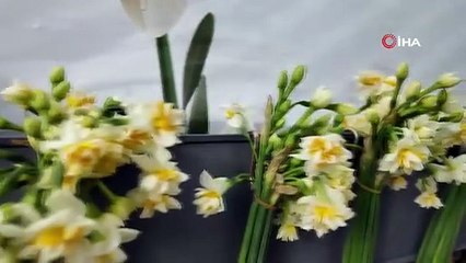 Yeni yılın ilk hediyesi vatandaşlara billboardlar üzerinde verildi