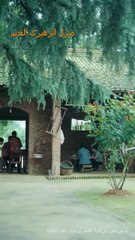 من الفقر إلى سيدة أعمال قوية… كل من أهانها ركع يطلب السماح!#حب #اكسبلور #مسلسلات