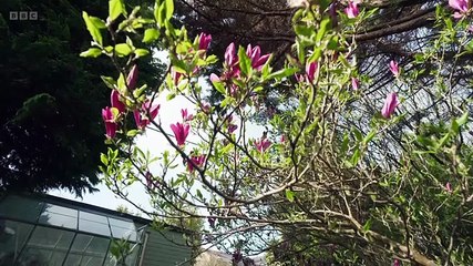 Escape to the Country - Season 26 Episode 17 - Dorset