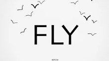 Fly