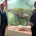 Tuzluca’da bulunan 30 milyon yıllık dev gergedan fosili, MTA Tabiat Tarihi Müzesi’nde