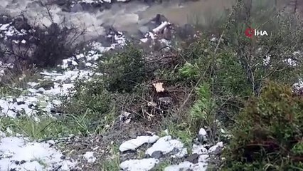 Metrelerce yüksekten dereye uçan otomobilden son anda atlayarak kurtuldu!